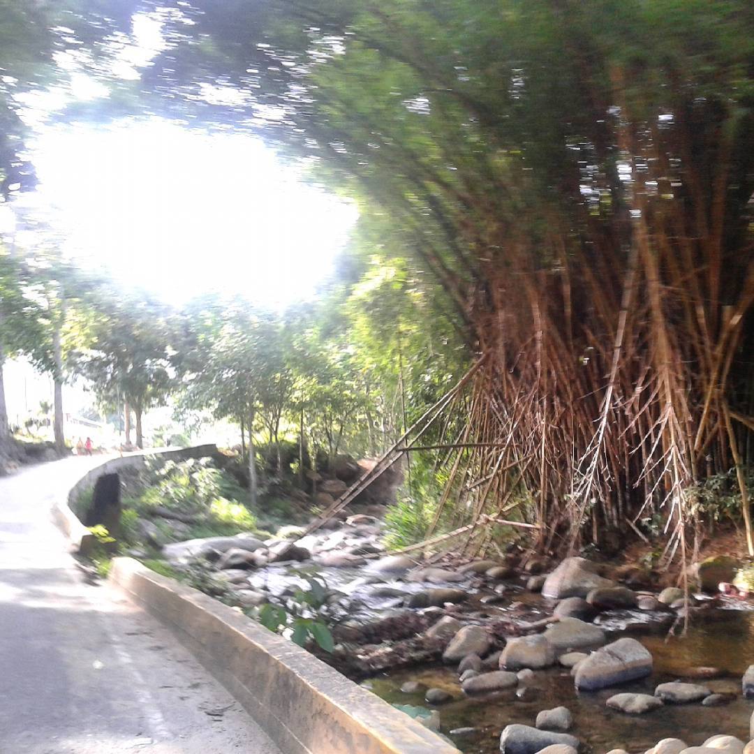 Río en la entrada de Choroní