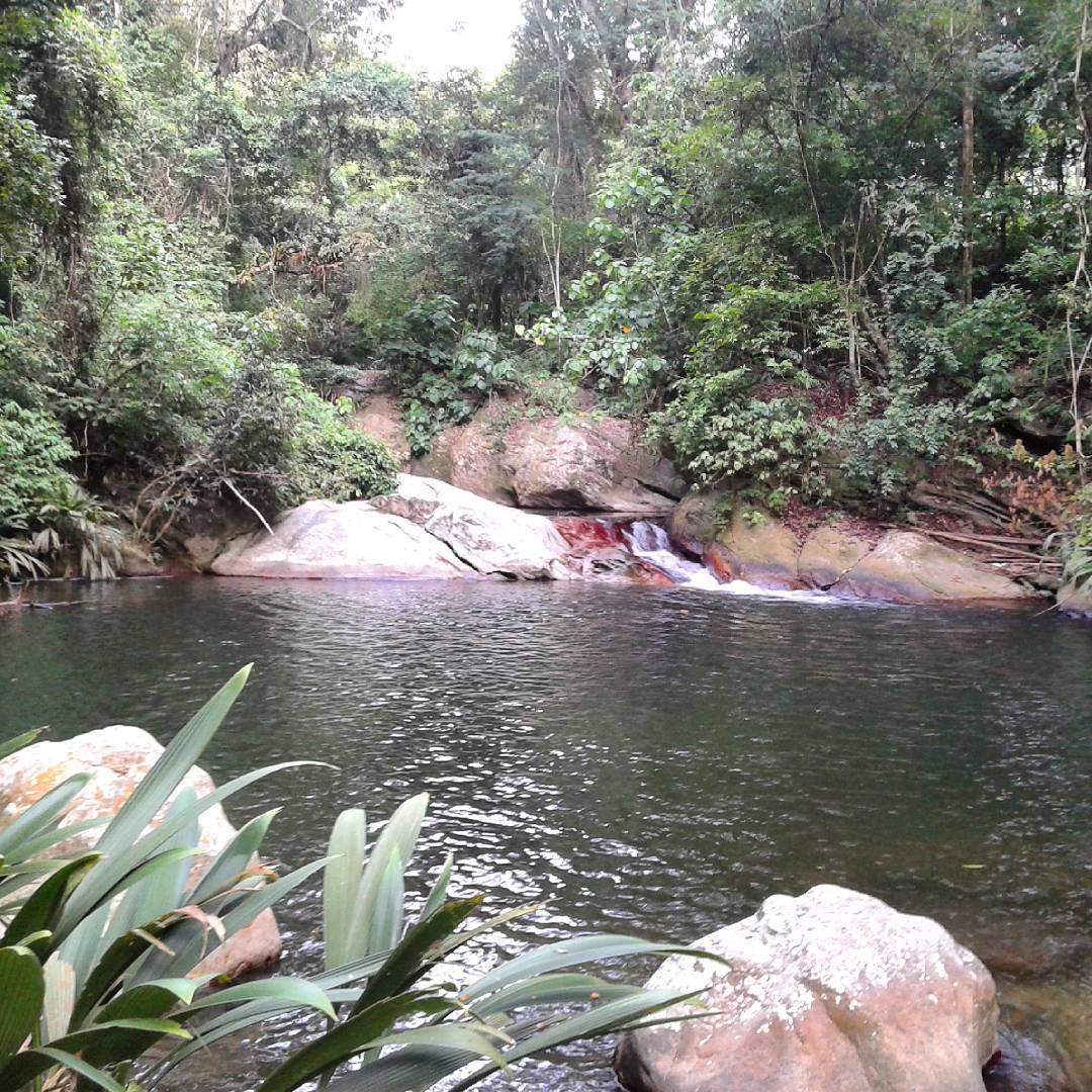 El Pozo El Lajado