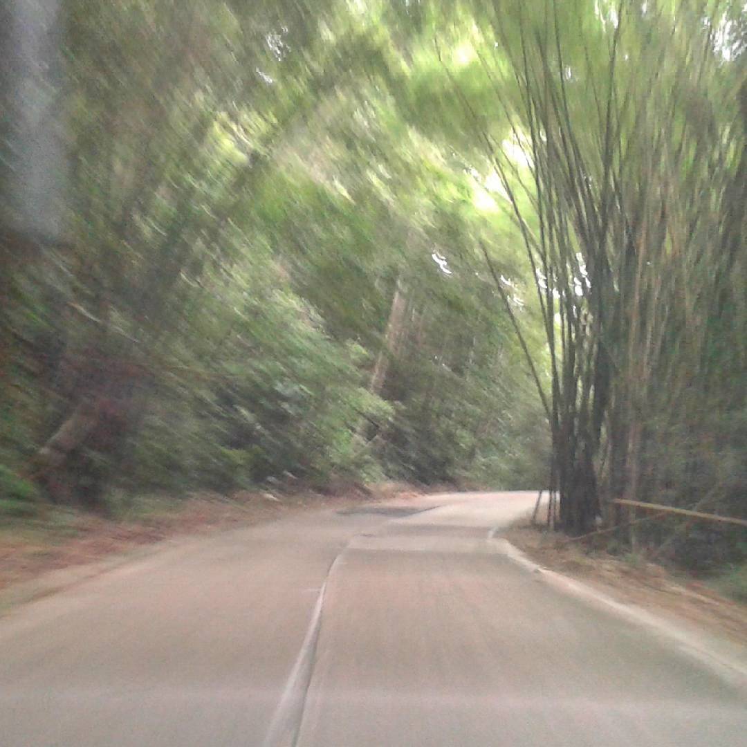Carretera hacia Choroní