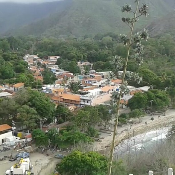 Vídeo desde el Cristo
